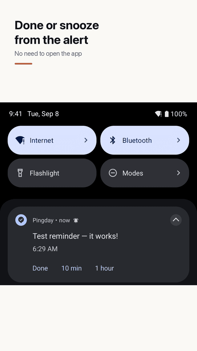 Pingday screenshot