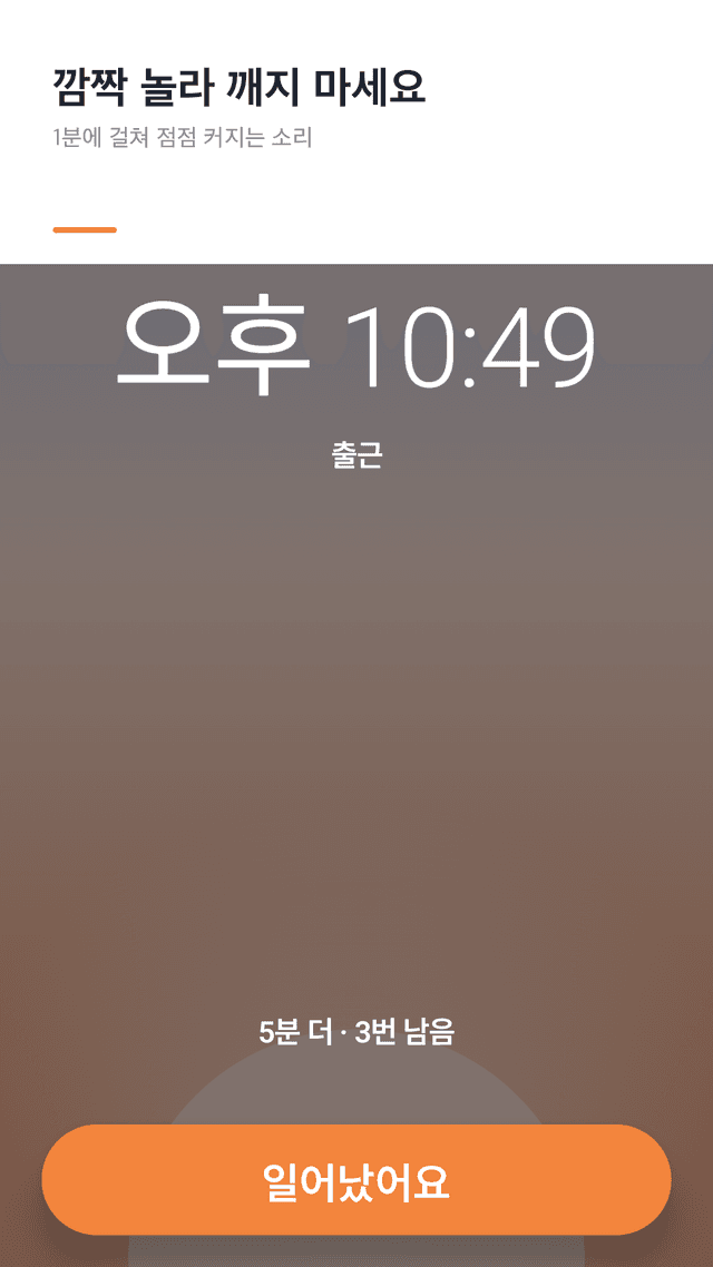 Softrise screenshot