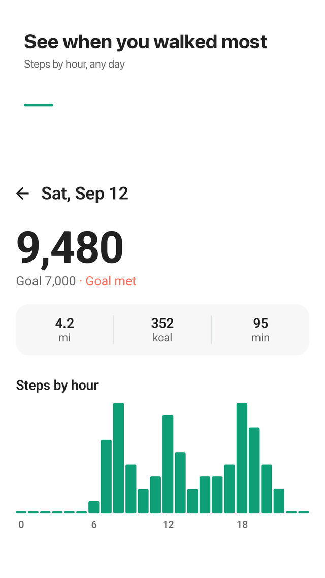 Walkmint screenshot